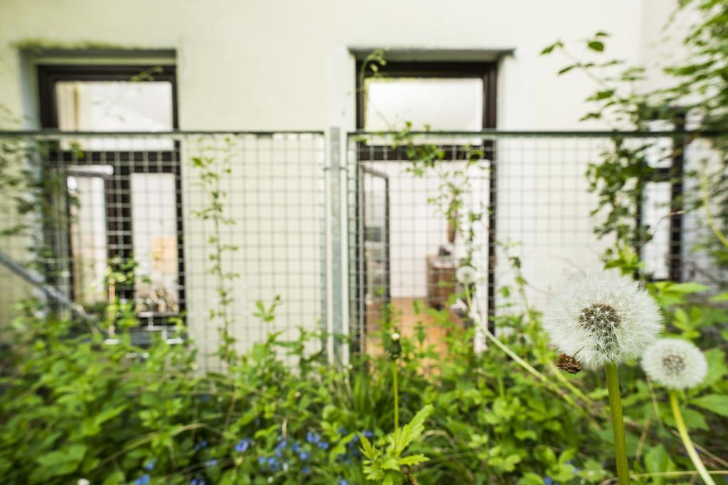 Apartamento Chillout Lounge Satzberg Viena Exterior foto